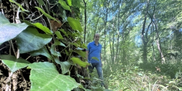 Bitki ve mantar türlerinin bulunduğu ormanda sadece bilimsel çalışmalara izin veriliyor