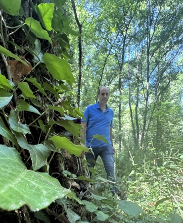 Bitki ve mantar türlerinin bulunduğu ormanda sadece bilimsel çalışmalara izin veriliyor