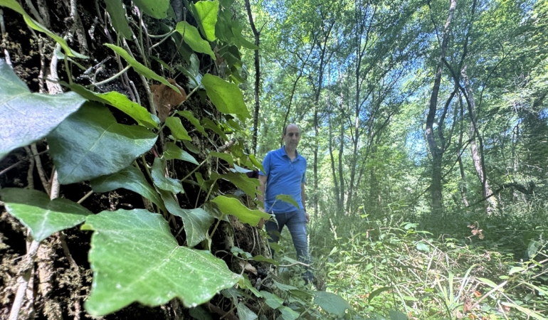 Bu ormana sadece bilim insanları girebiliyor