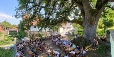 677 yaşındaki anıt ağaç asırlardır buluşma noktası oluyor