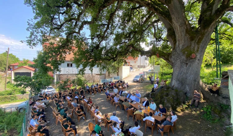 677 yaşındaki anıt ağaç asırlardır buluşma noktası oluyor