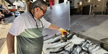 Av sezonunda tuzlanan palamutlar yazın tezgahları süslüyor