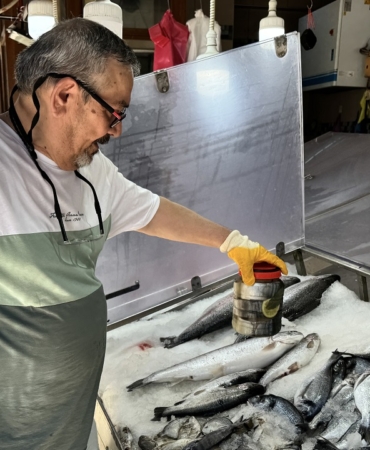 Av sezonunda tuzlanan palamutlar yazın tezgahları süslüyor