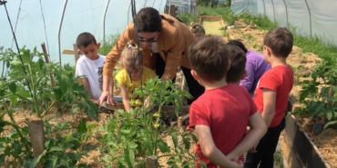 SİNOP'TA ÇEVRECİ EĞİTİM MODELİ