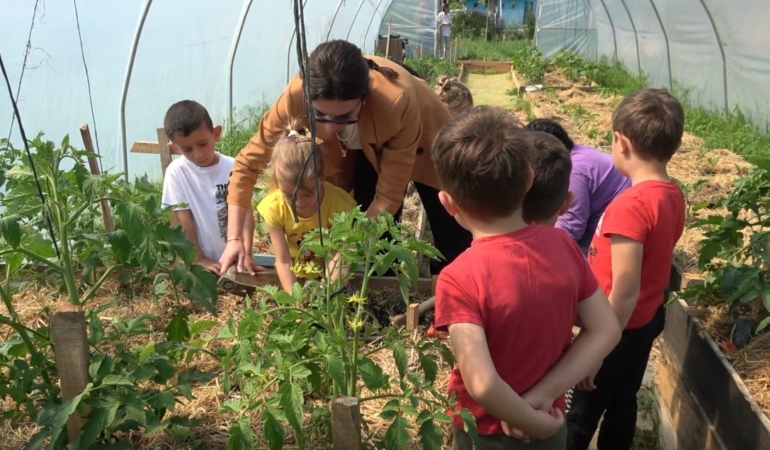 SİNOP'TA ÇEVRECİ EĞİTİM MODELİ