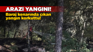 araziyangini