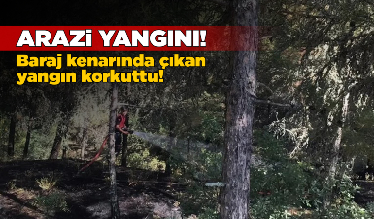 Yangında ağaçlık alan zarar gördü