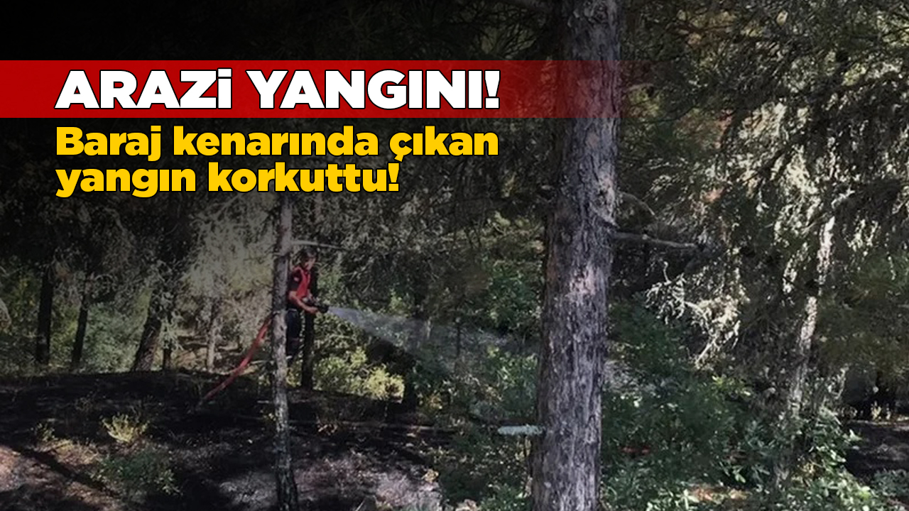 araziyangini