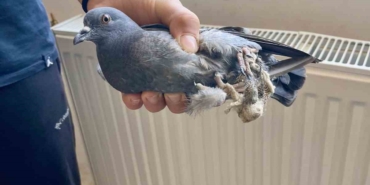 TÜRKELİ ANADOLU İHL ÖĞRENCİLERİNDEN ÖRNEK DAVRANIŞ