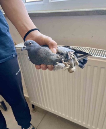 TÜRKELİ ANADOLU İHL ÖĞRENCİLERİNDEN ÖRNEK DAVRANIŞ