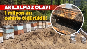 birmilyonyil