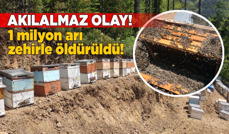 1 milyon arı zehirle öldürüldü