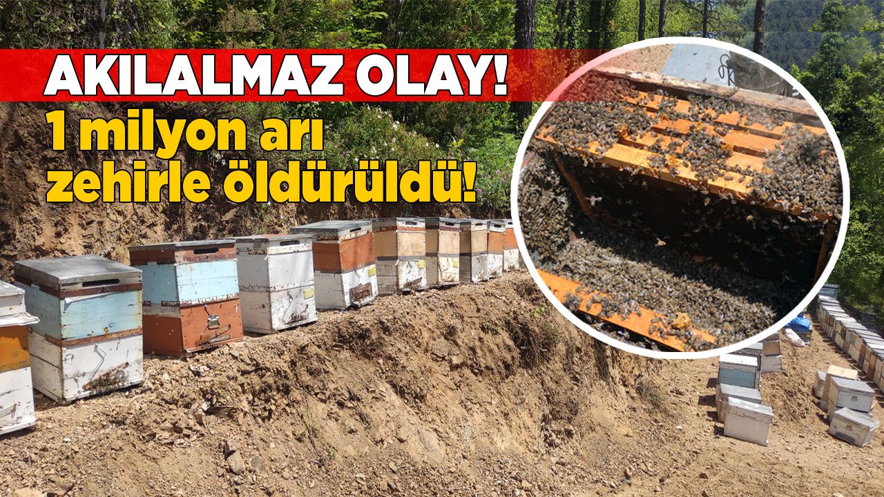 birmilyonyil