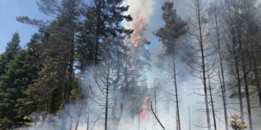 boluda-cikan-orman-yanginina-mudahale-ediliyor