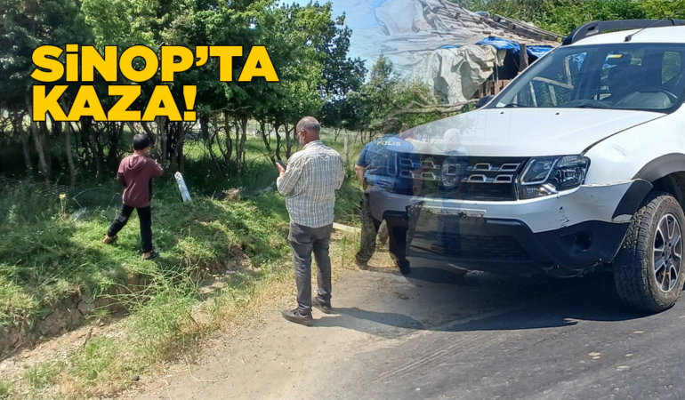 Tel örgüleri devirerek araziye girdi