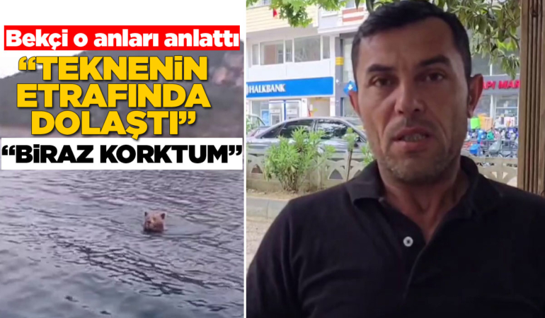 Sinop’taki baraj gölünde yüzen ayıyı böyle kayda aldı!