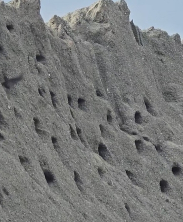 doganin-mimarlari-buyuledi