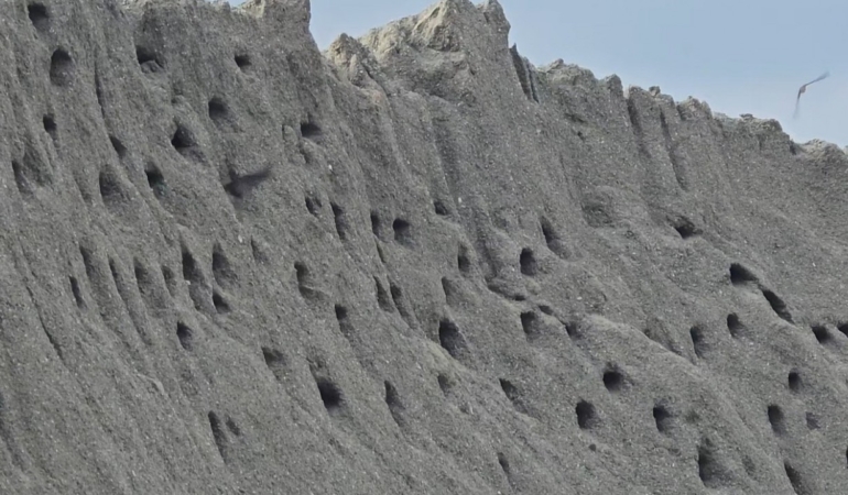 doganin-mimarlari-buyuledi