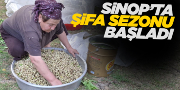 dutpekmezimlkmlk837268