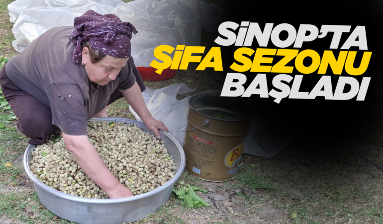 Sinop ve ilçelerinde dut pekmezi sezonu başladı