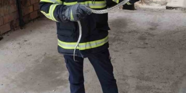 EVE GİREN YILAN İTFAİYEYİ SEFERBER ETTİ.