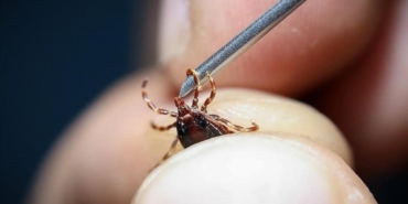 grip-sandiginiz-olumcul-hastalik-olabilir