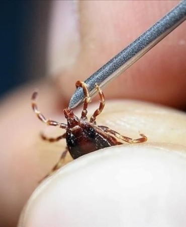 grip-sandiginiz-olumcul-hastalik-olabilir