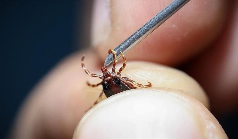 Grip sandığınız ölümcül hastalık olabilir