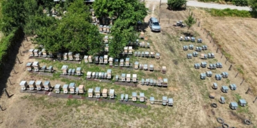 hobi-olarak-baslamisti-gecim-kaynagi-oldu