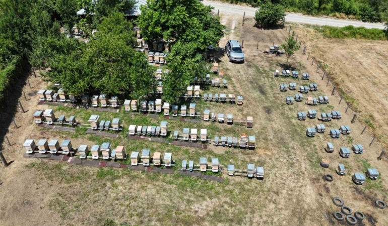 Hobi olarak başlamıştı, geçim kaynağı oldu