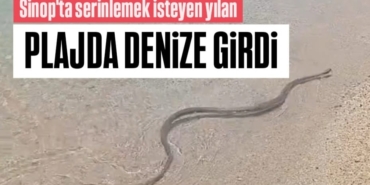 i-m-g-20250610-w-a0076