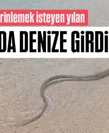 i-m-g-20250610-w-a0076