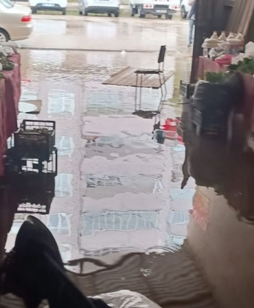 i-m-g-20250629-w-a0005-1