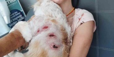 kangal-dehseti-guvenlik-kamerasinda