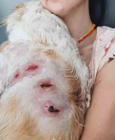 kangal-dehseti-guvenlik-kamerasinda