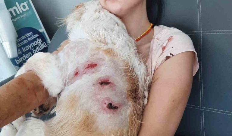 Kangal dehşeti güvenlik kamerasında