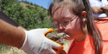 keneyle-mucadelede-900-kinali-keklik-dogaya-salindi