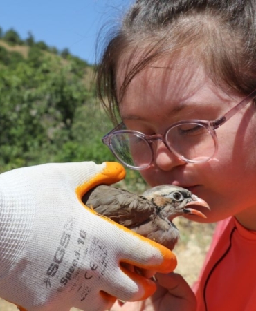 keneyle-mucadelede-900-kinali-keklik-dogaya-salindi