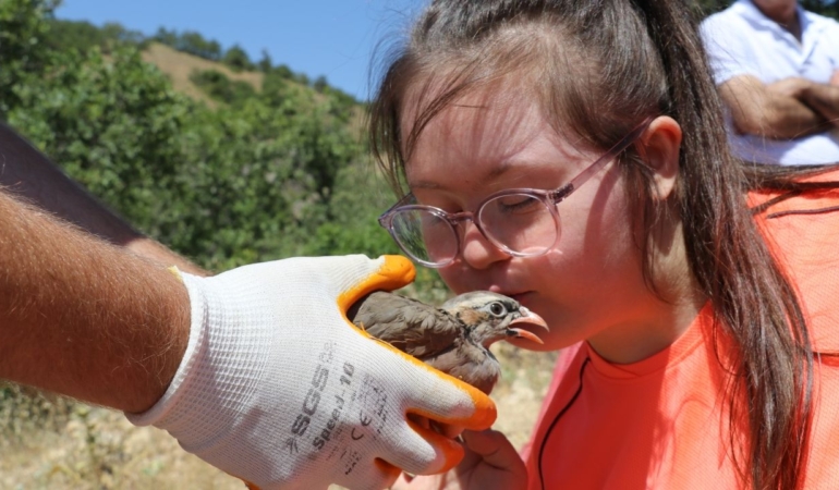 Keneyle mücadelede 900 kınalı keklik doğaya salındı