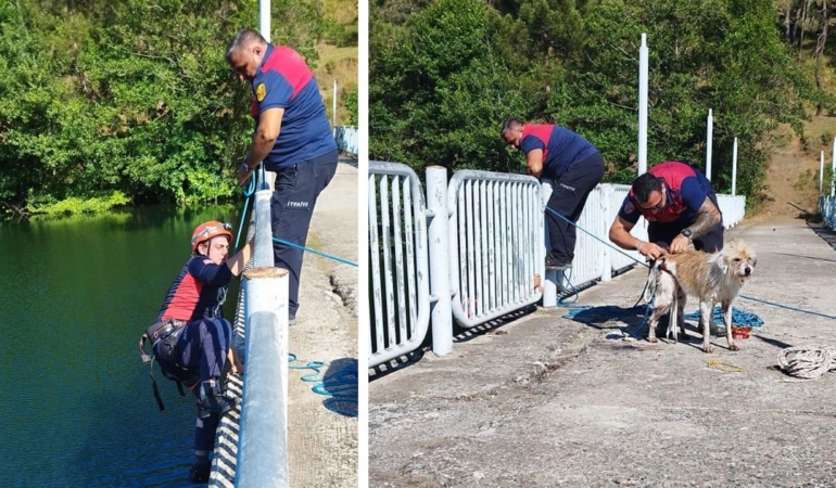 Sinop’ta köpek kurtarma operasyonu