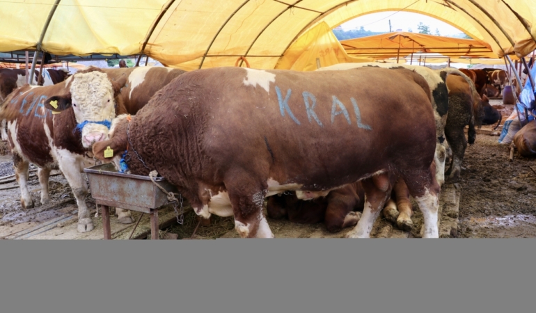 kurban-satislarindan-alici-ve-saticilar-memnun