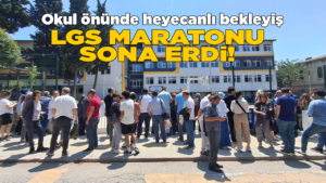lgssonaerdi