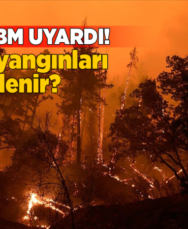 obmormanyanginlari