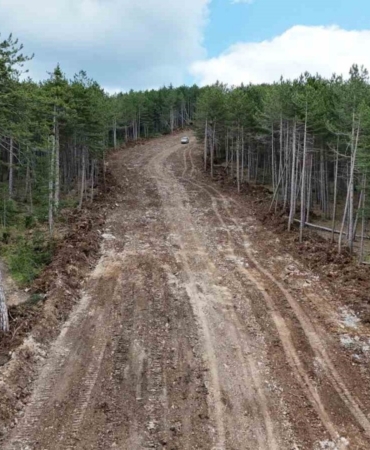 ormanlari-yangindan-korumak-icin-emniyet-yolu-uygulamasi