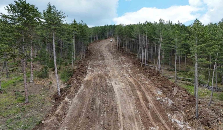 Ormanları yangından korumak için emniyet yolu uygulaması