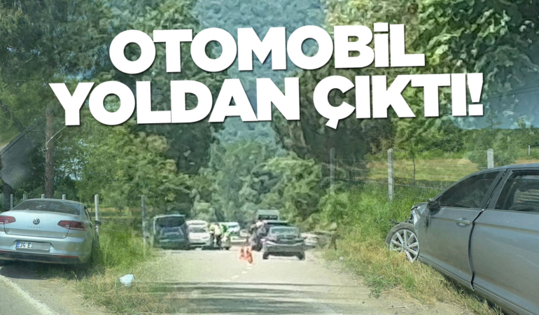 Kontrolden çıkan otomobil avluya çarptı