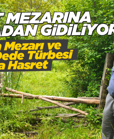 s-e-h-i-t-t-u-r-b-e-s-i-h8372863872367823