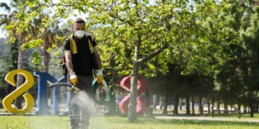 samsunda-kenelere-karsi-ilaclama-seferberligi-baslatildi