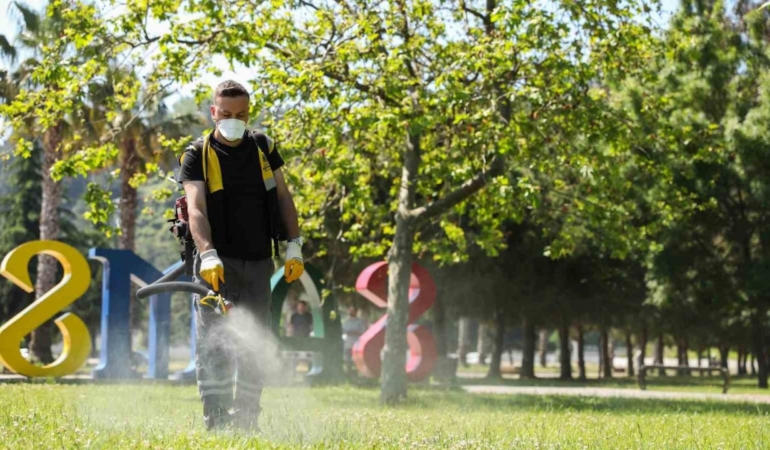 samsunda-kenelere-karsi-ilaclama-seferberligi-baslatildi