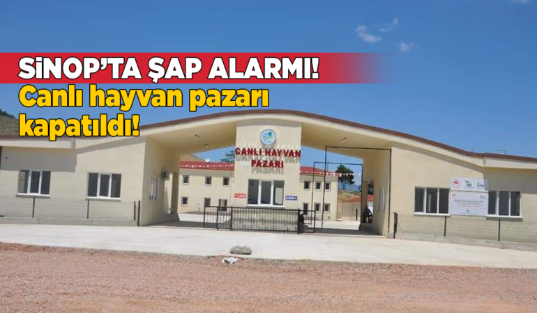 Sinop’ta şap alarmı: Hayvan pazarı kapatıldı!